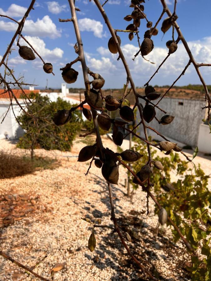 Casa Da Eira Villa Reguengos de Monsaraz Dış mekan fotoğraf