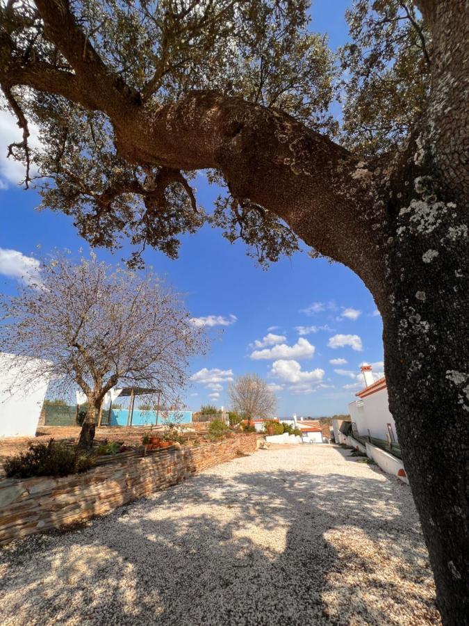 Casa Da Eira Villa Reguengos de Monsaraz Dış mekan fotoğraf